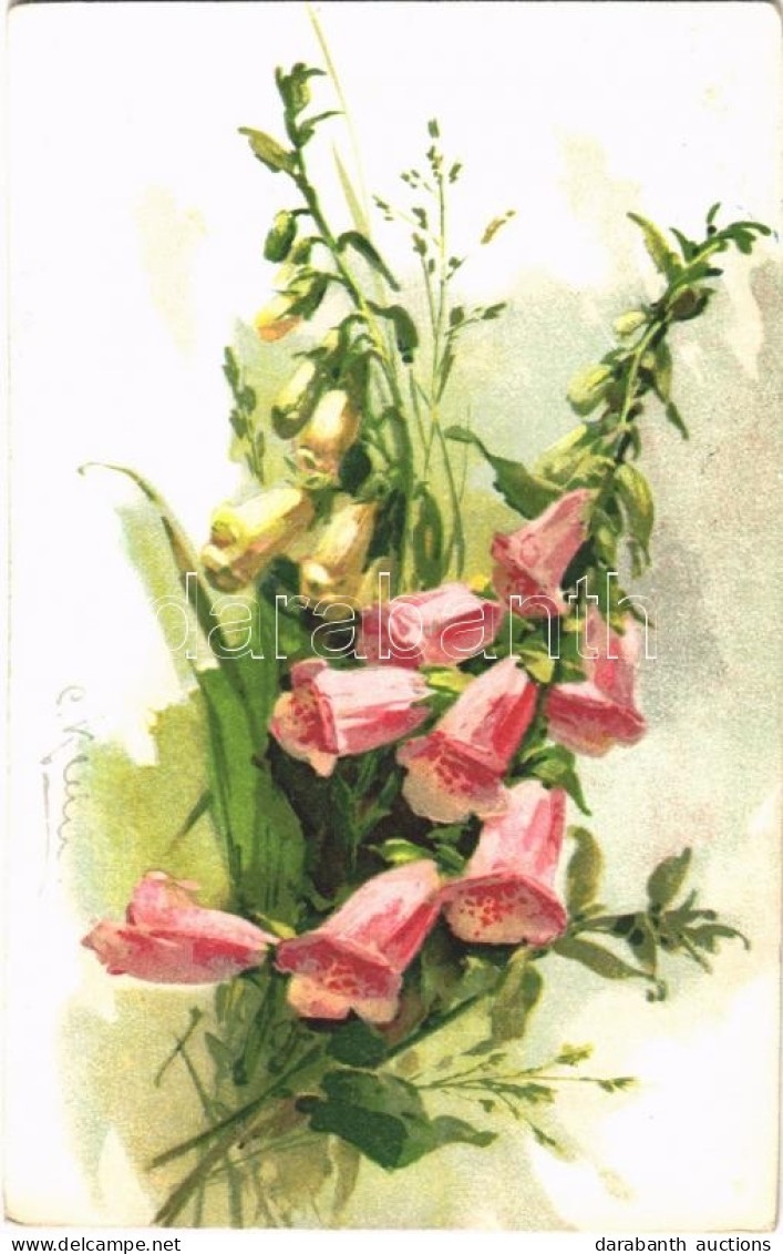 T2 Flowers, Still Life. G.O.M. 1675. Litho S: C. Klein - Non Classés