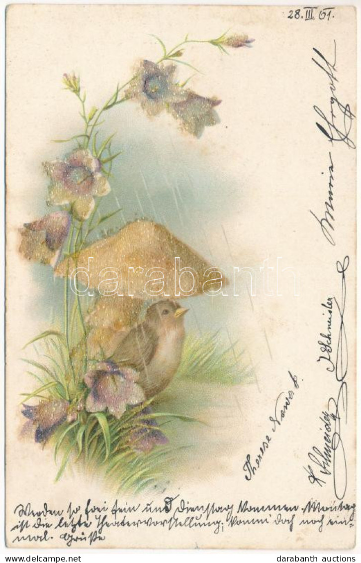 T2/T3 1901 Greeting Card With Bird, Mushroom And Flowers. Litho (EK) - Zonder Classificatie