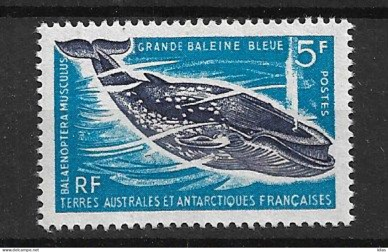 TAAF 1966 Blue Whale MNH - Usados