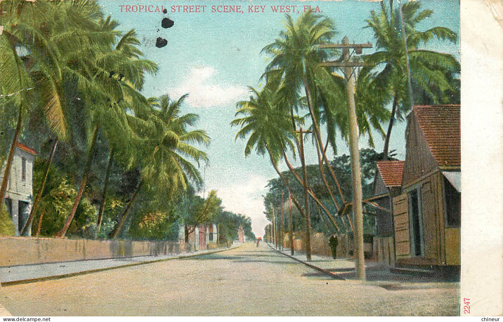 ETATS UNIS TROPICAL STREET SCENE KEY WEST FLA - Key West & The Keys