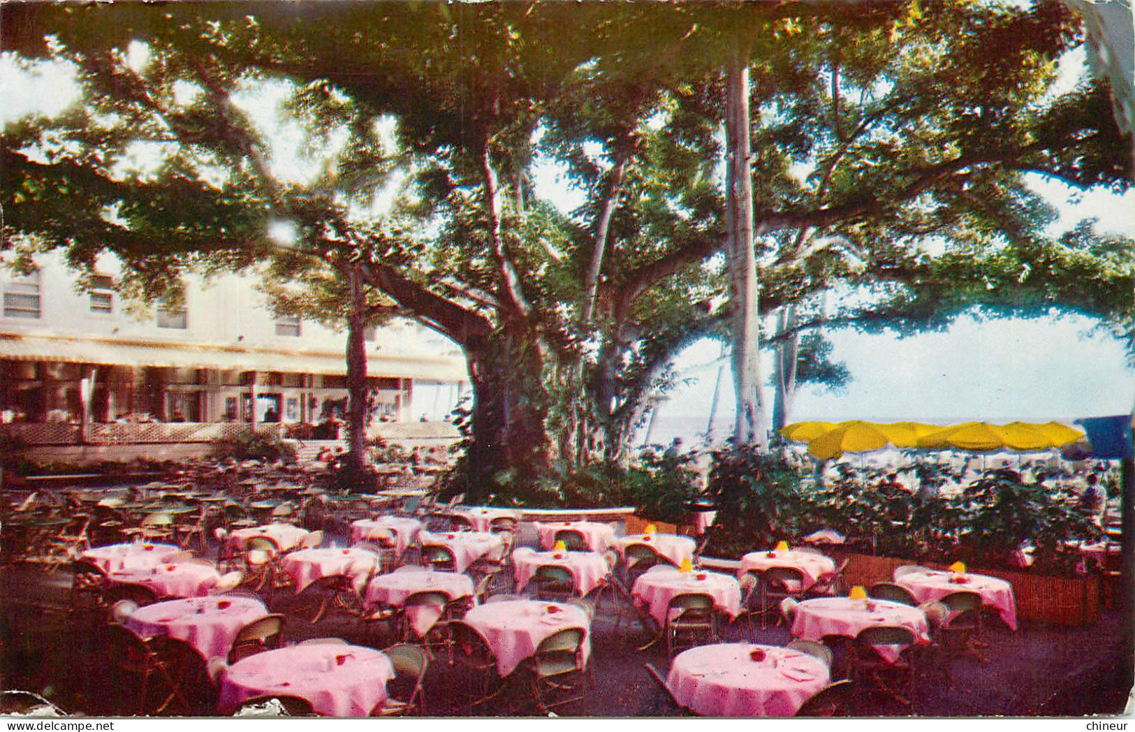ETATS UNIS MOANA HOTEL'S WORLD FAMOUS BANYAN COURT LANAI - Honolulu