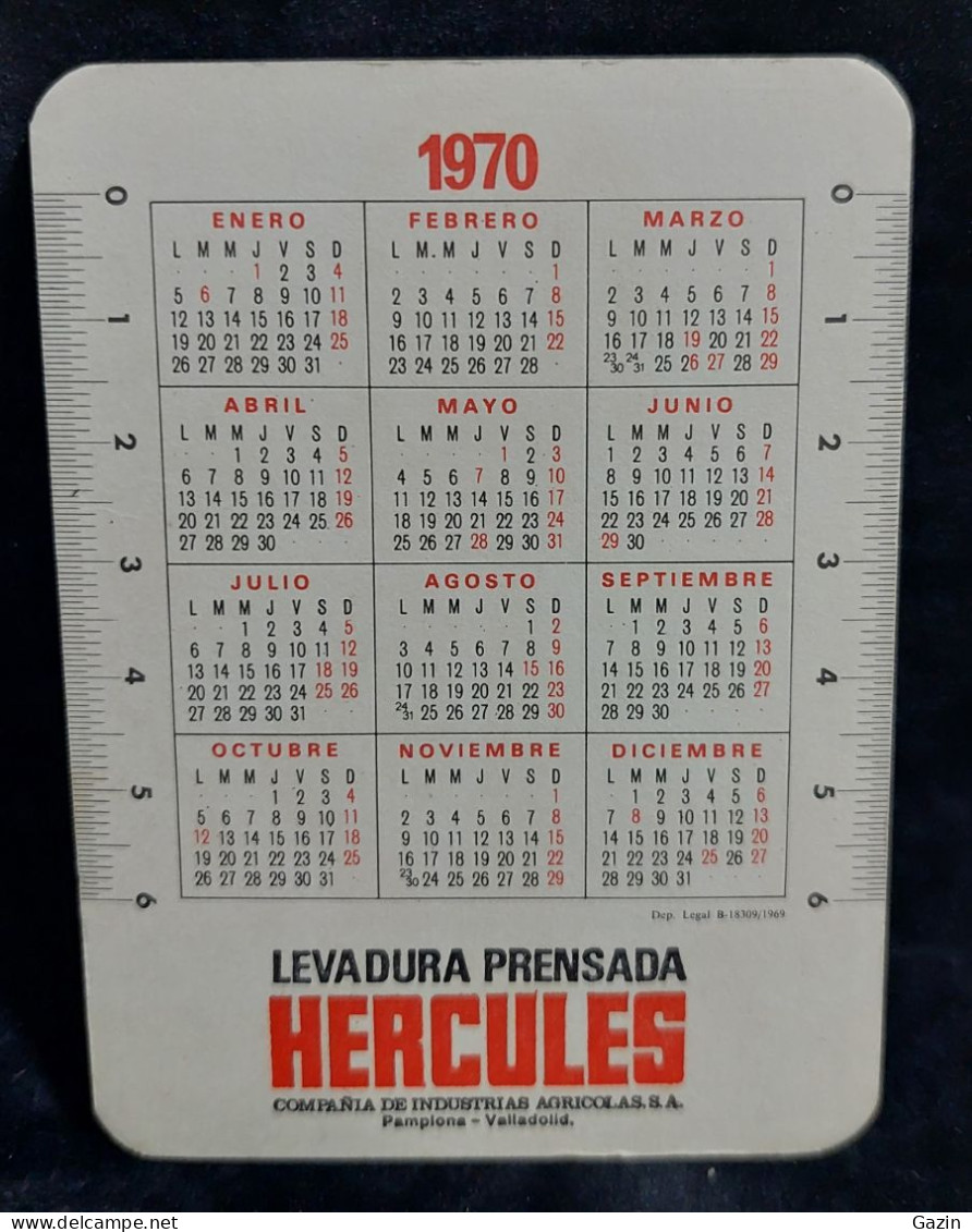 C6/4 - Calendário * Levadura Prensada Hercules * Pamplona - Valladolid * 1970 - Petit Format : 1961-70