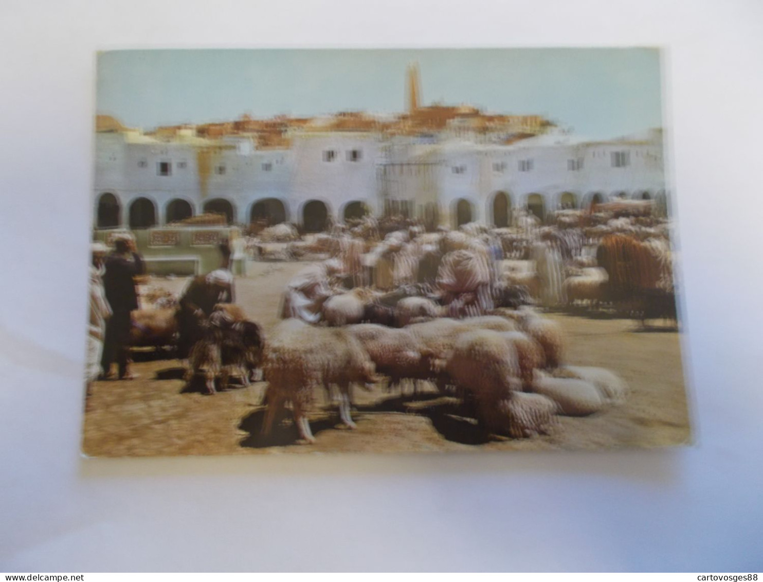 GHARDAIA ( ALGERIE ) LE SOUK  TRES ANIMEES MARCHE ANIMAUX MOUTONS CHEVRES FLAMME  TOUGGOURT  BEAU TIMBRE - Ghardaïa