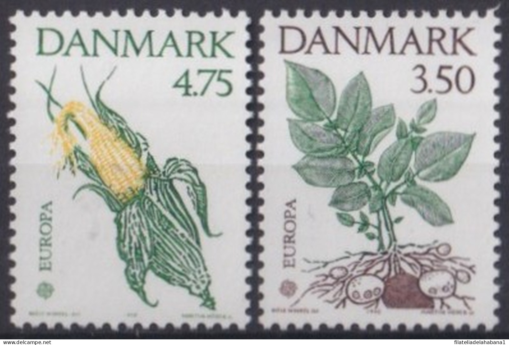 F-EX46148 DANMARK MNH 1992 DISCOVERY AMERICA FOOD PATATOES CORN COLON COLUMBUS  - Vegetazione