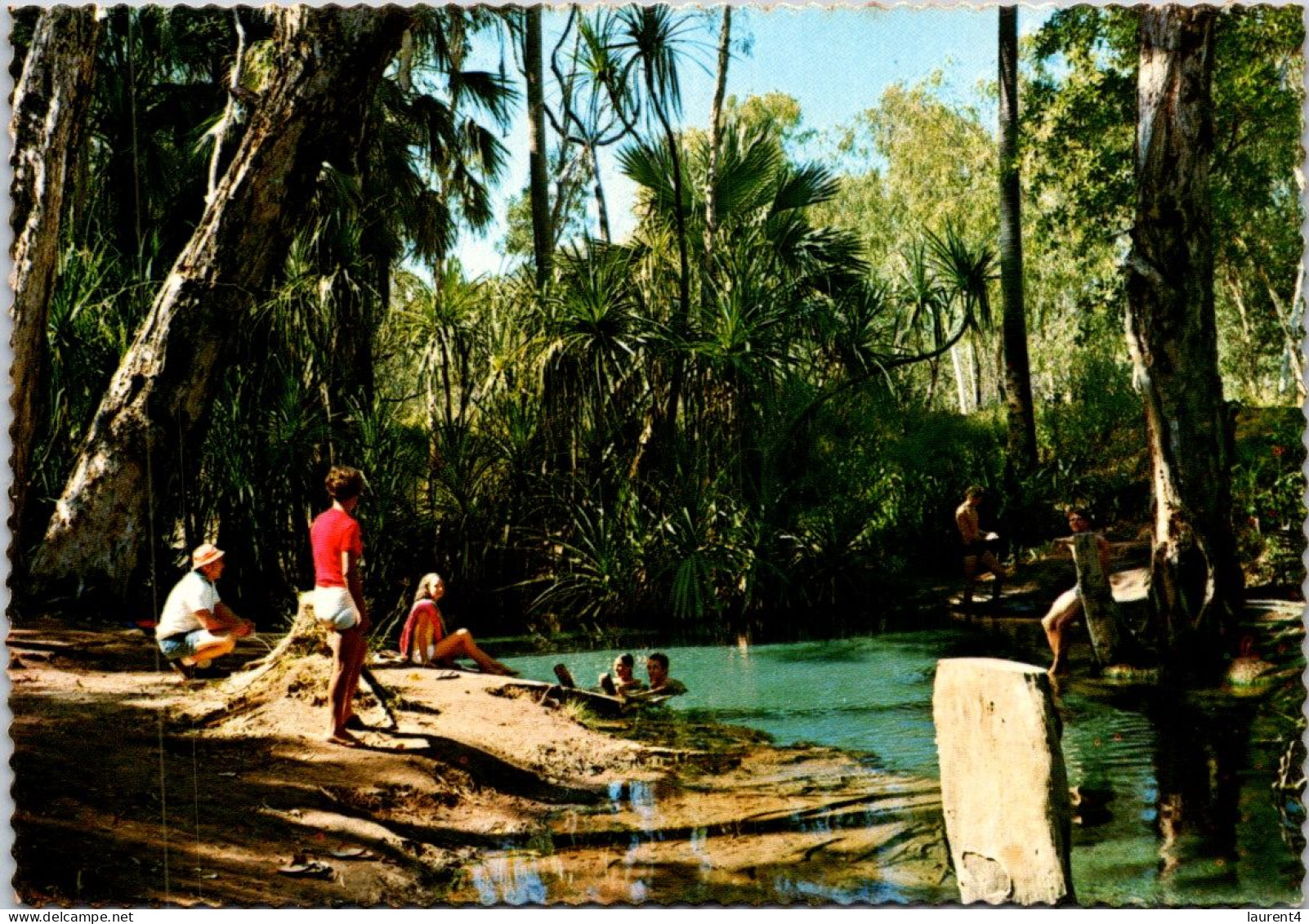 24-11-2023 (3 V 18) Australia - NT - Mataranka Homestead Therma Swimming Pool - Non Classés