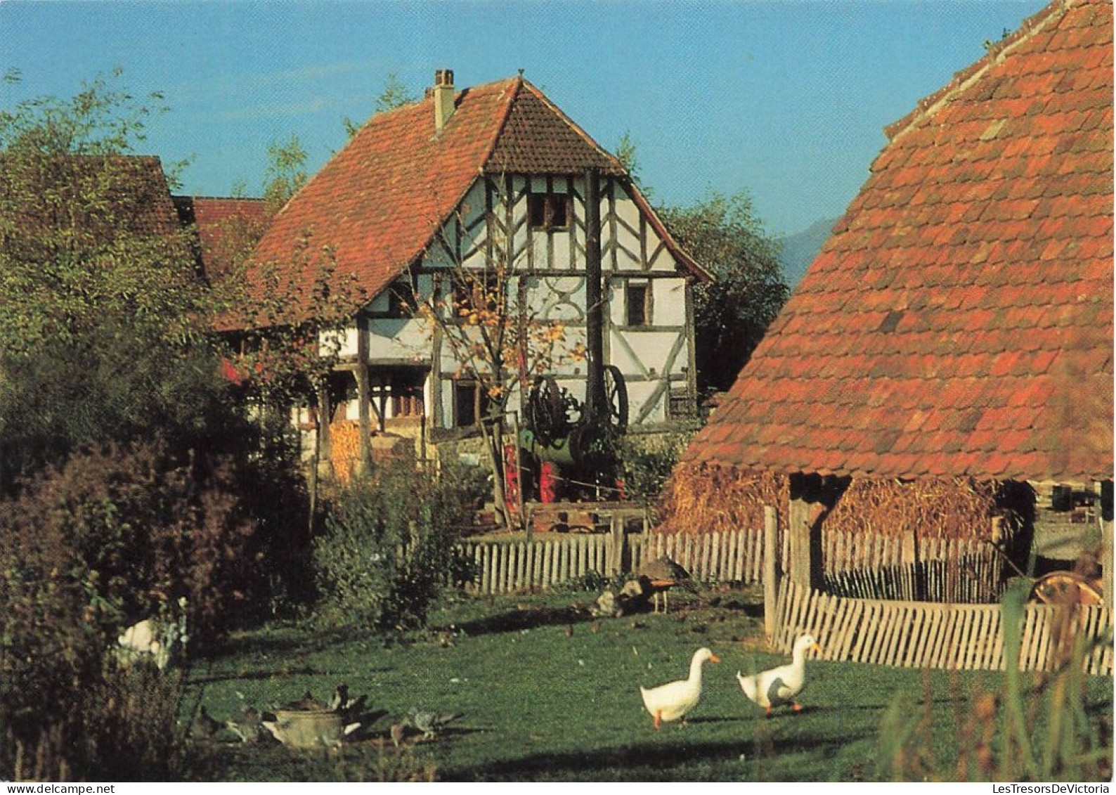 FRANCE - Ungersheim - Maison De Hésingue Et Locomobile - Carte Postale - Mulhouse