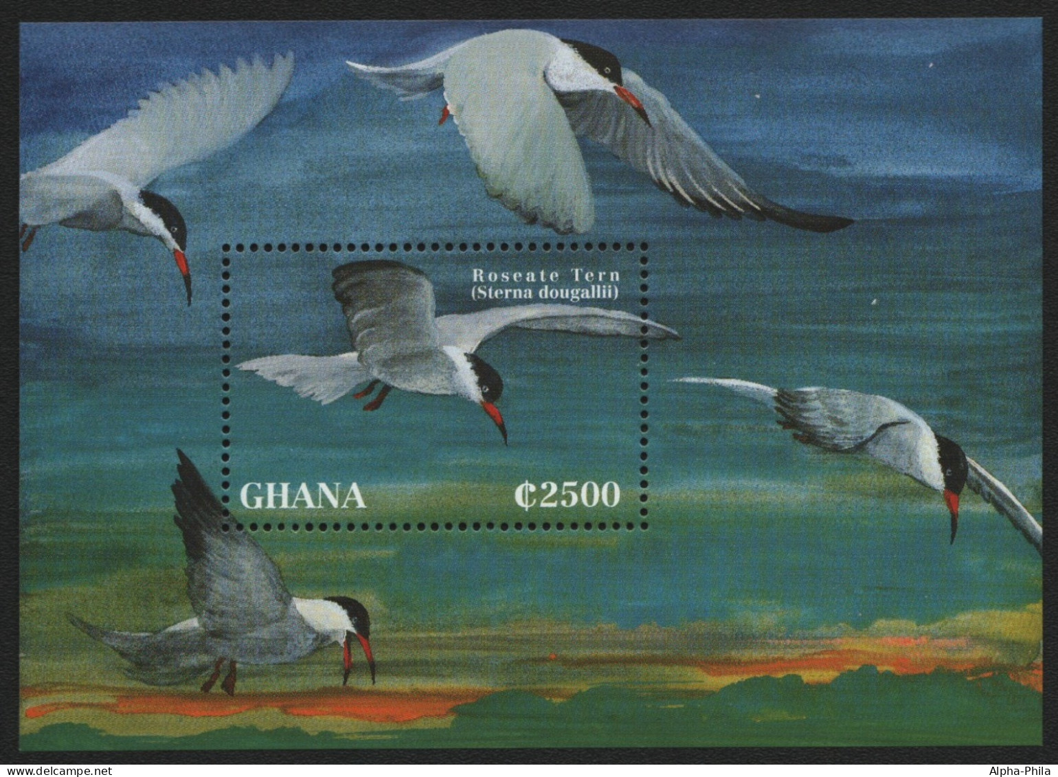 Ghana 1995 - Mi-Nr. Block 274 ** - MNH - Vögel / Birds - Ghana (1957-...)