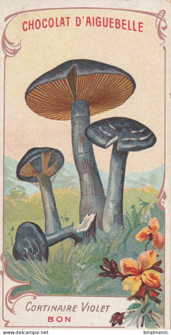 CORTINAIRE VIOLET  Chromo Chocolat D'Aiguebelle - Paddestoelen