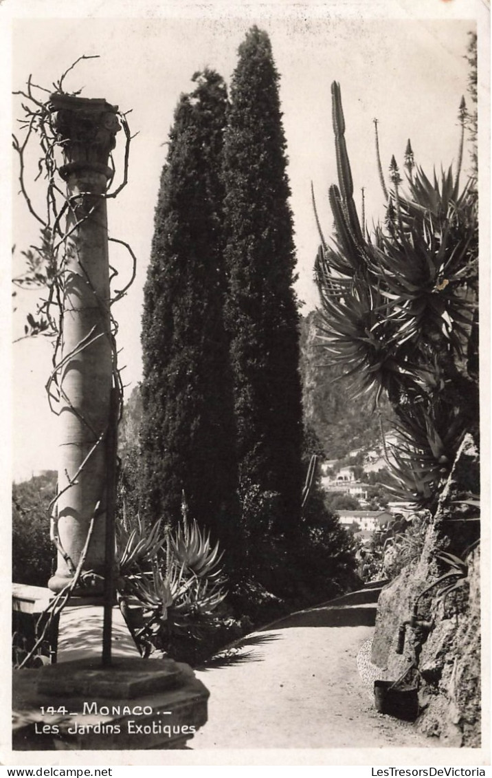 MONACO - Les Jardins Exotiques - Plantes - Colonnes - Carte Postale - Jardin Exotique