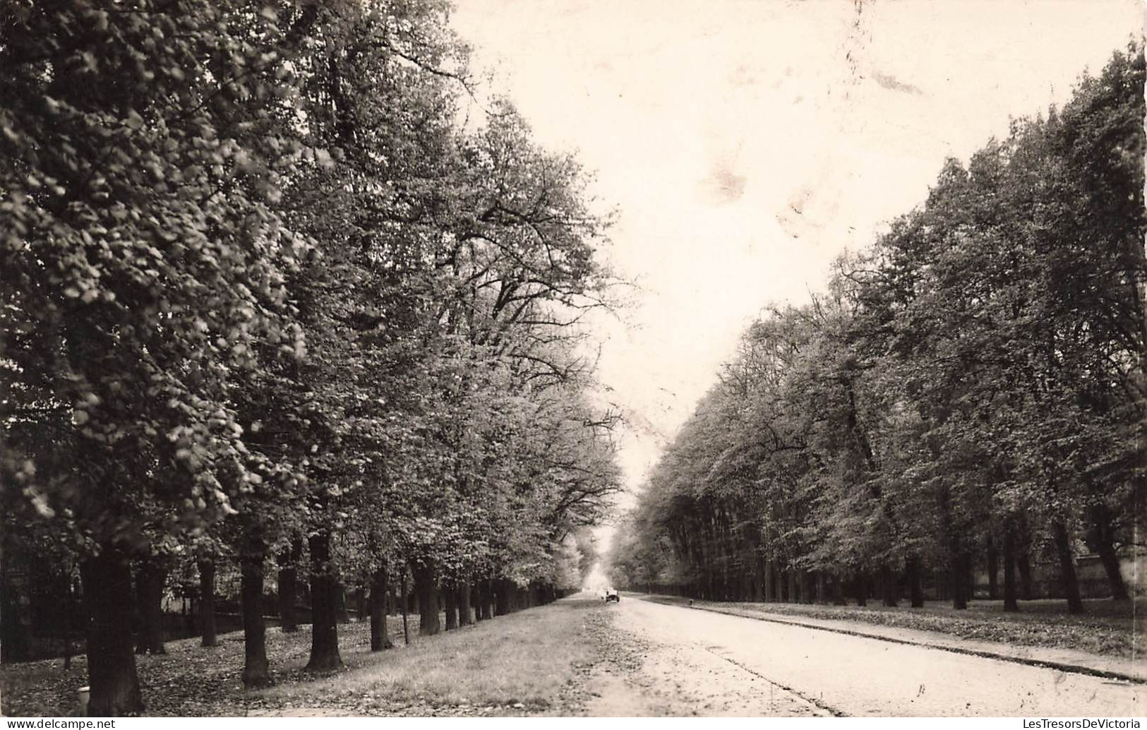 FRANCE - Bellevue (S Et O) - L'Allée Du Château - Carte Postale - Meudon