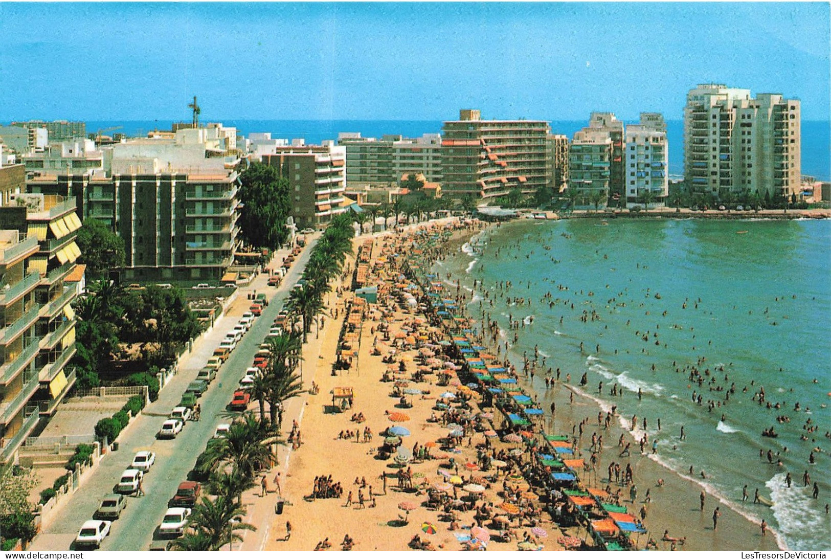 ESPAGNE - Torrevieja - Plage Du Cura - Carte Postale - Other & Unclassified