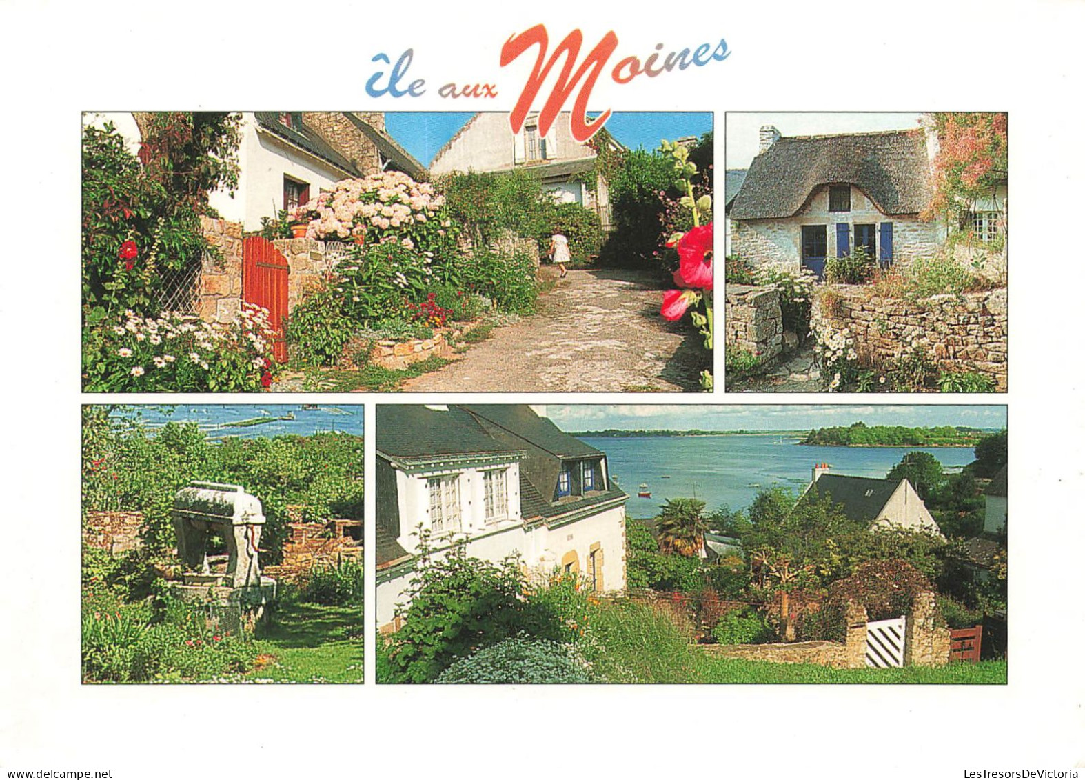 FRANCE - Île-aux-Moines - Les Maisons Fleuries De L'Île-aux-Moines - Carte Postale - Ile Aux Moines