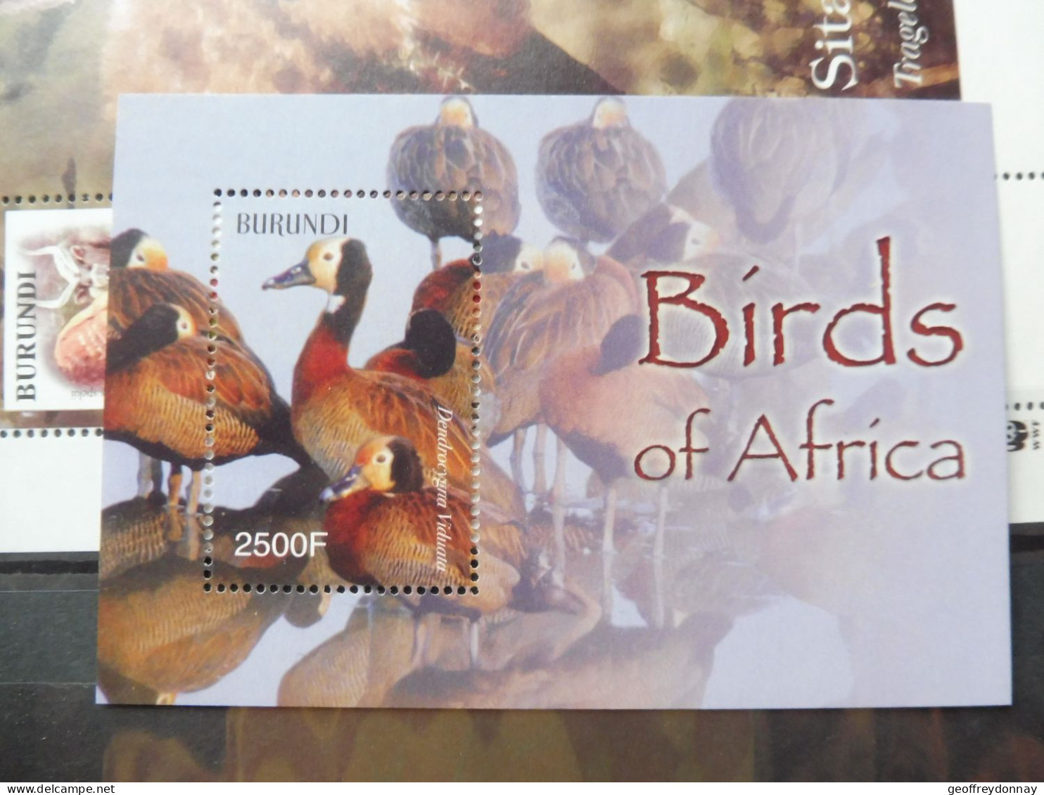 Burundi Bloc Bl Blok 147 Oiseaux Vogels Birds Parfait Etat  Neuf Mnh ** 2004 - Neufs