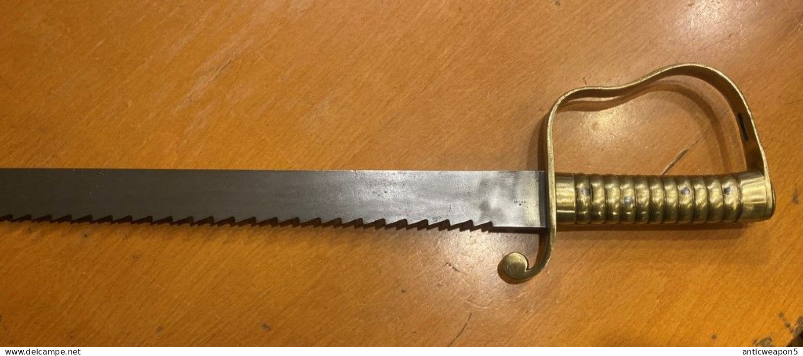 Épée De Sapeur Avec Scie. ROYAUME-UNI. M1856 (T425) - Armes Blanches