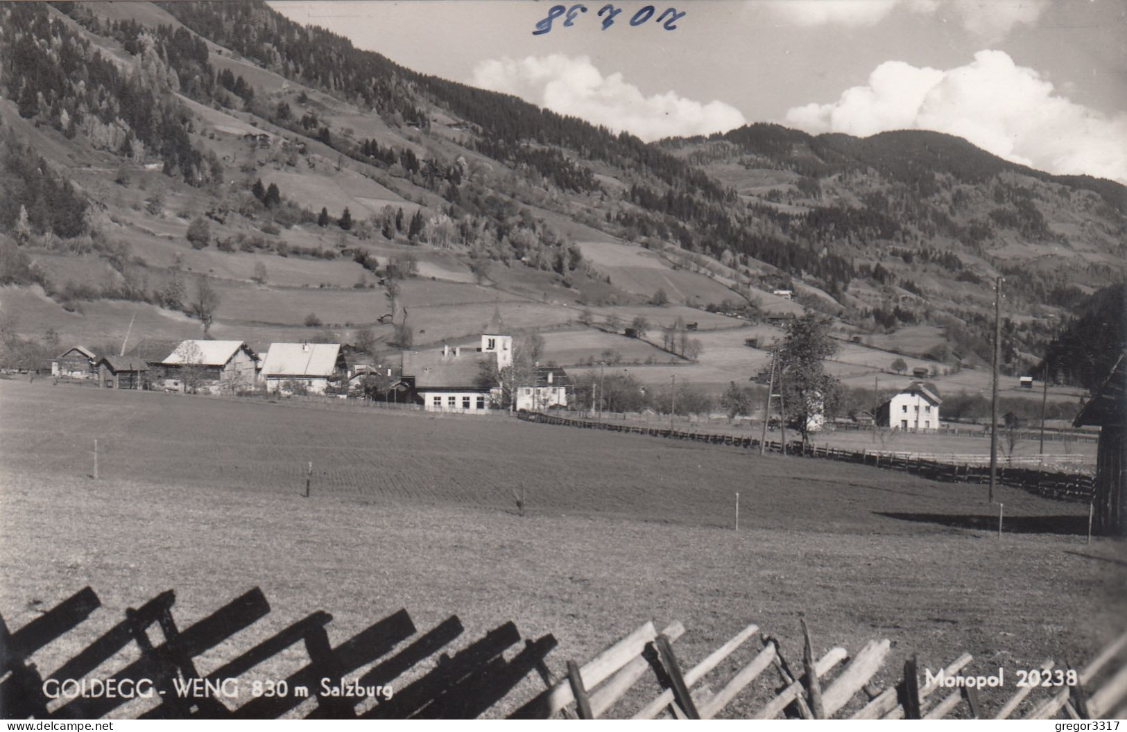 D8834) GOLDEGG - WENG - Salzburg - Felder Wiese Wenige Häuser - Goldegg