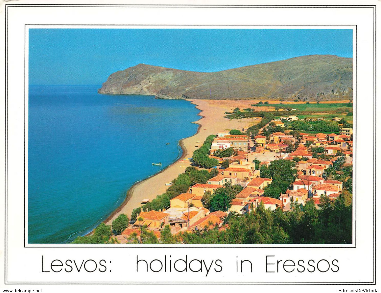 GRÈCE - Lesvos - Holidays In Eressos - Carte Postale - Grecia