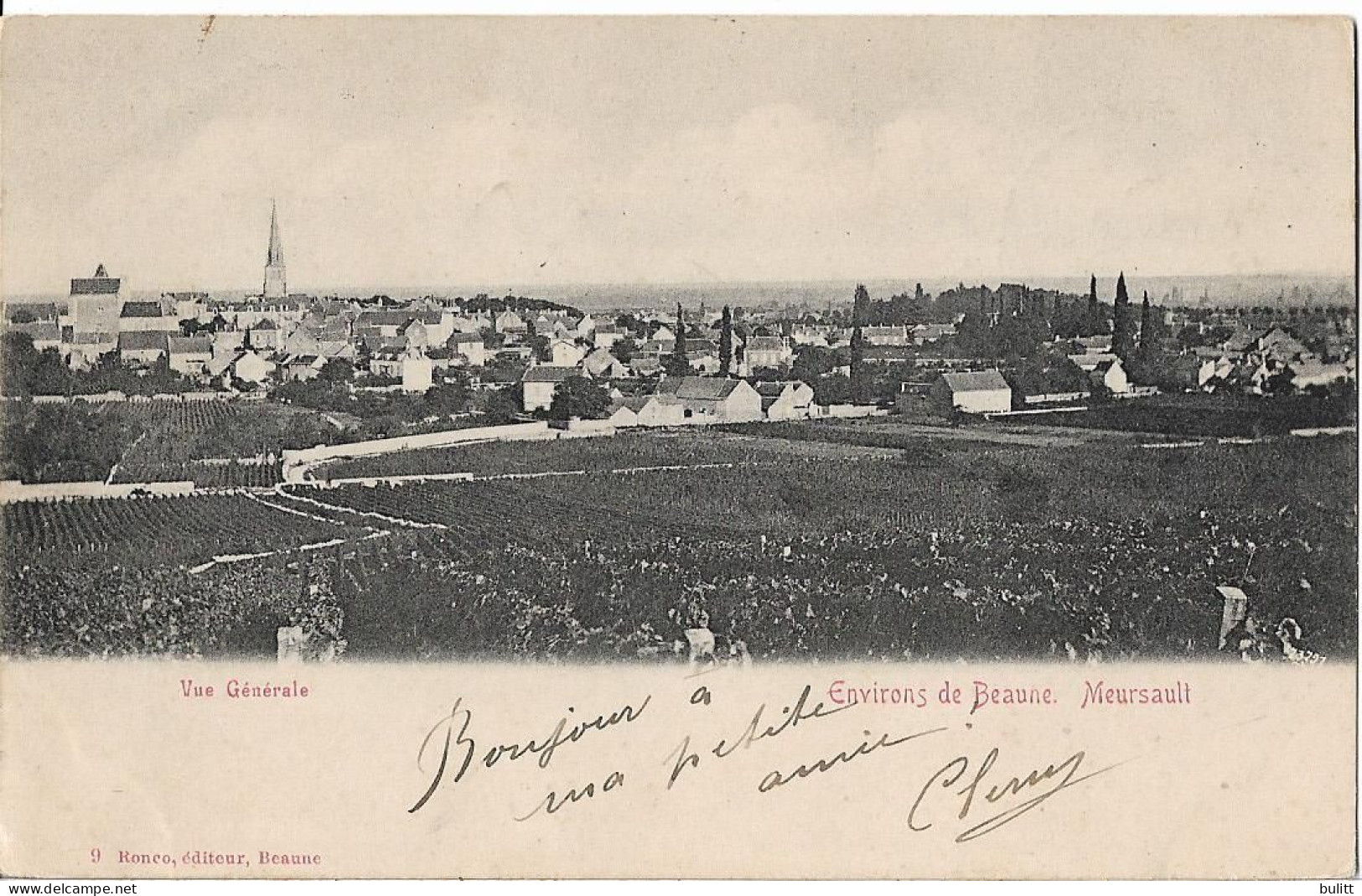 MEURSAULT - Vue Générale - Meursault