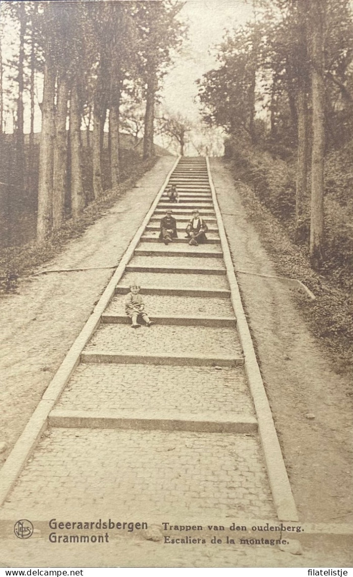 De Trappen Naar Den Oudenberg - Geraardsbergen