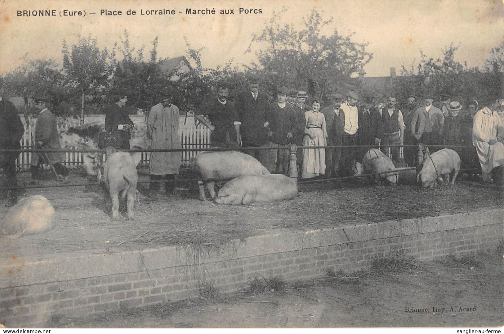 CPA 27 BRIONNE / PLACE DE LORRAINE / MARCHE AUX PORCS - Sonstige & Ohne Zuordnung