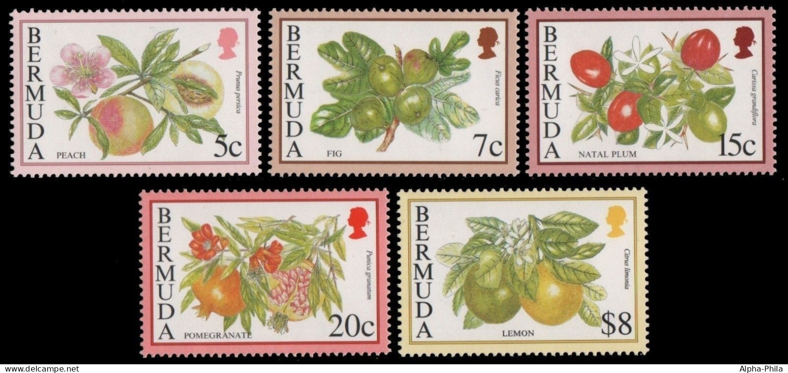 Bermuda 1994 - Mi-Nr. 650-654 I ** - MNH - Früchte / Fruits - Bermuda