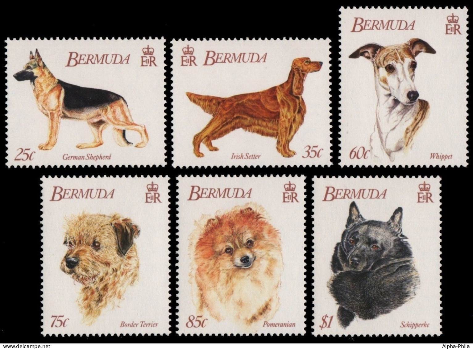 Bermuda 1992 - Mi-Nr. 621-626 ** - MNH - Hunde / Dogs - Bermuda