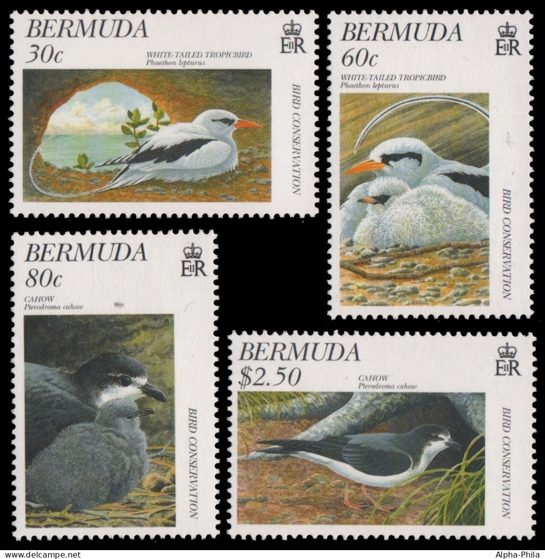 Bermuda 1997 - Mi-Nr. 723-726 ** - MNH - Vögel / Birds - Bermuda