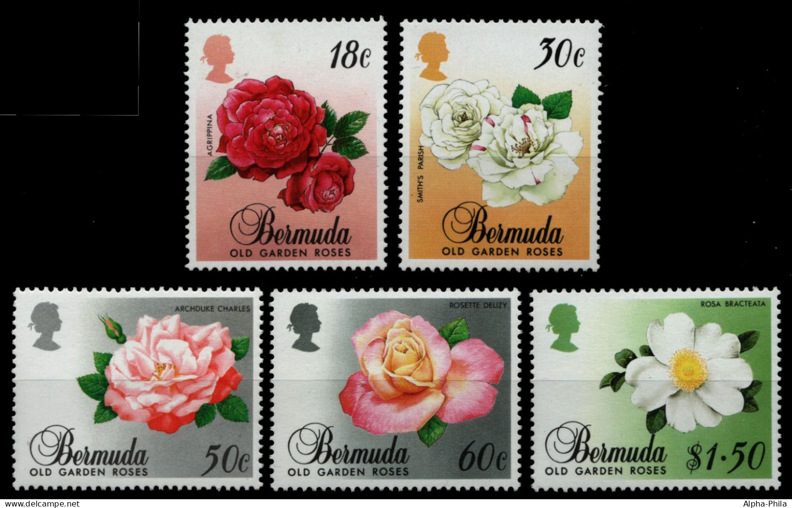 Bermuda 1989 - Mi-Nr. 550-554 ** - MNH - Rosen / Roses - Bermuda