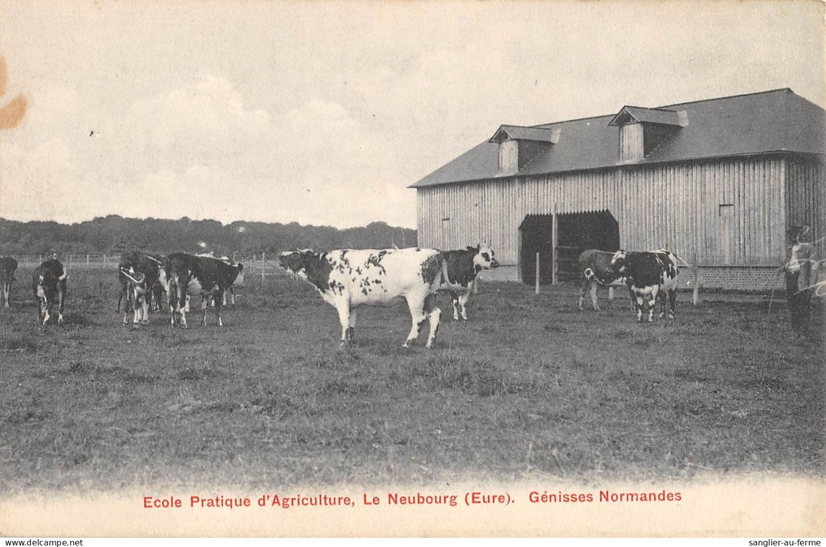 CPA 27 ECOLE PRATIQUE D'AGRICULTURE / LE NEUBOURG / GENISSES NORMANDES - Le Neubourg