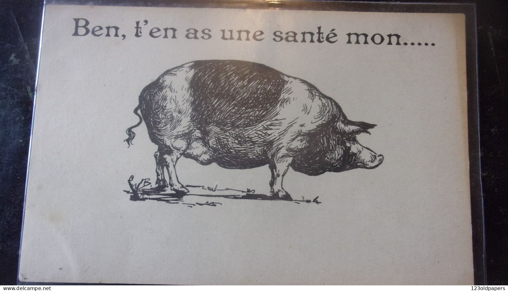 PORC PIG COCHON PORK - Cochons