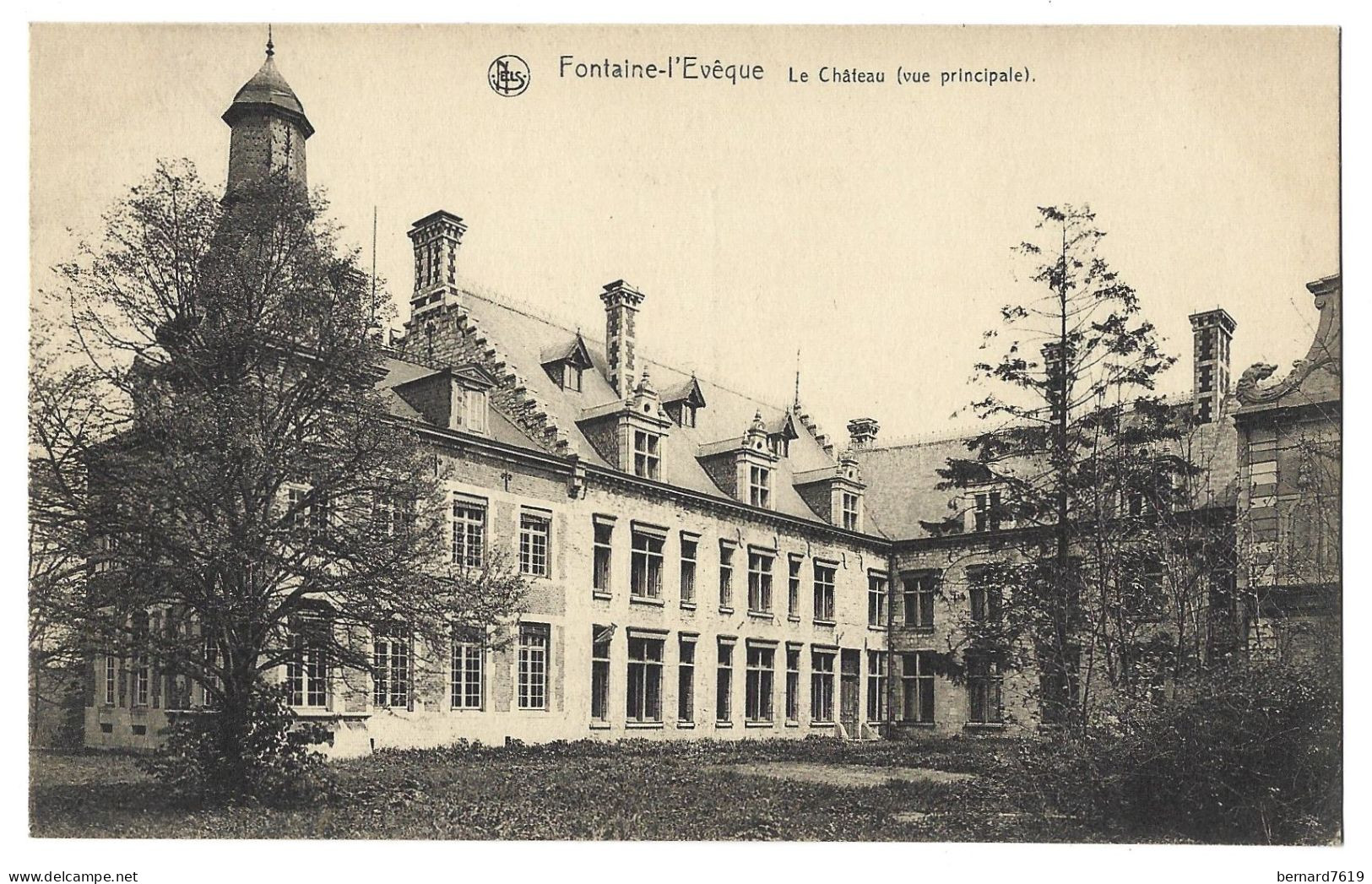 Belgique  -  Fontaine L'eveque  - Le Chateau - Vue Principale - Fontaine-l'Evêque