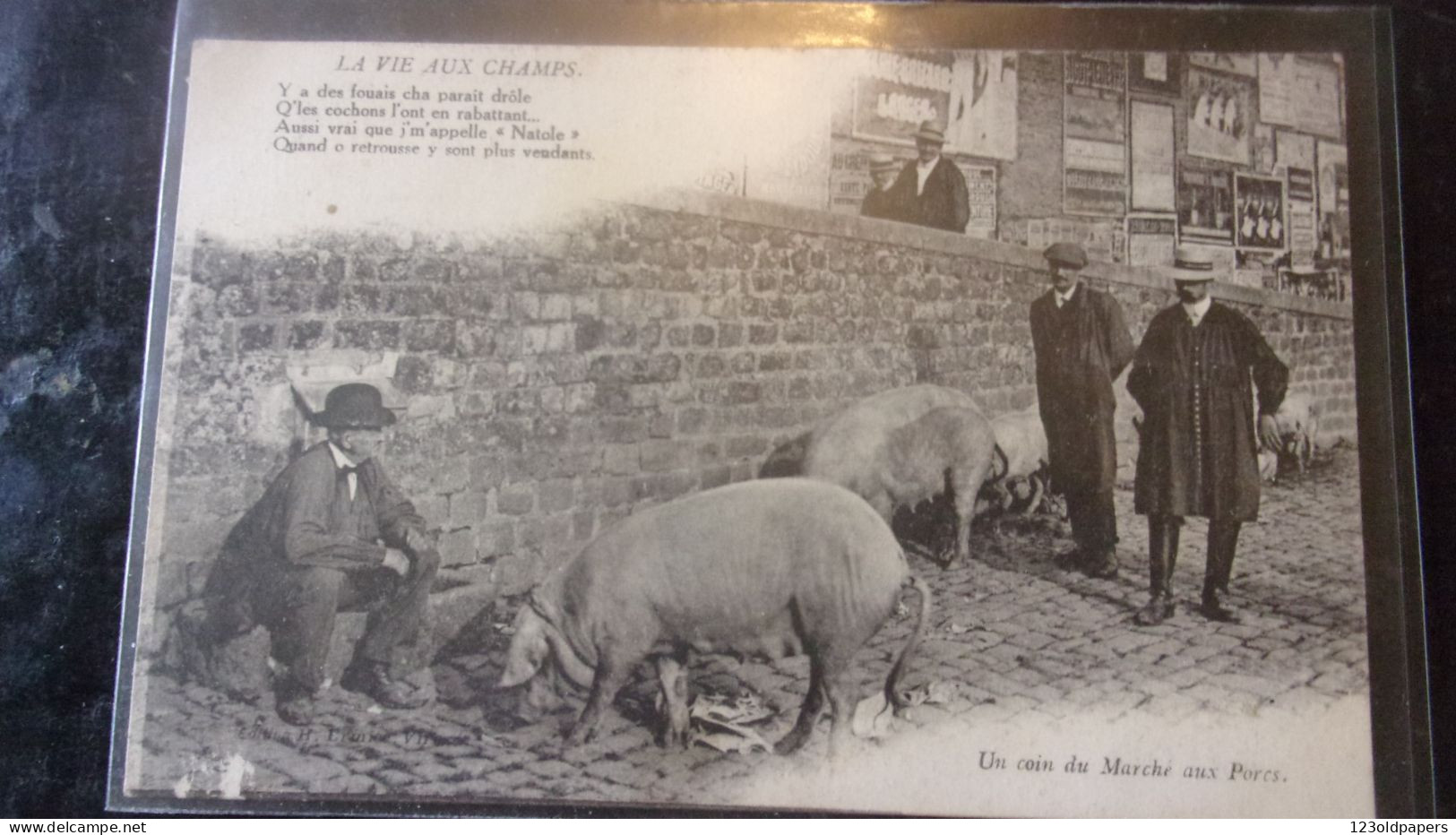 PORC PIG COCHON PORK  HENRI ERMICE  MARCHE AUX PORCS - Cerdos