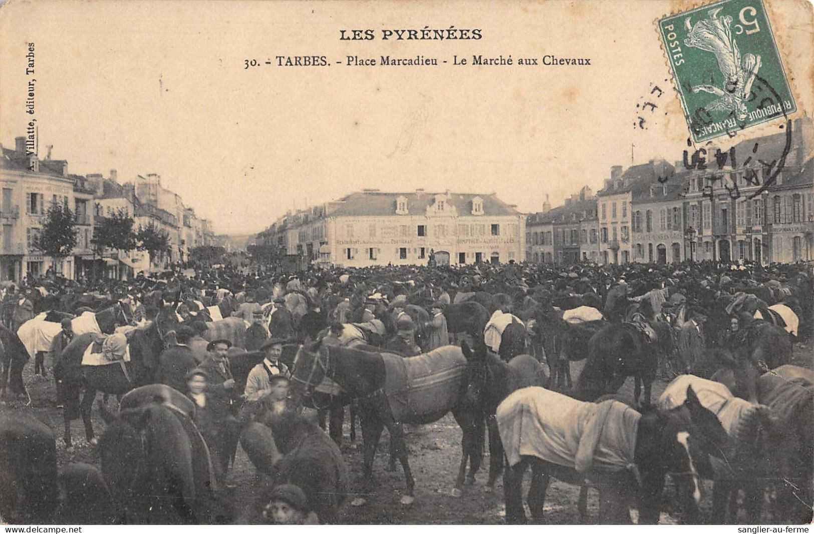 CPA 65 TARBES / PLACE MARCADIEU / LE MARCHE AUX CHEVAUX - Tarbes