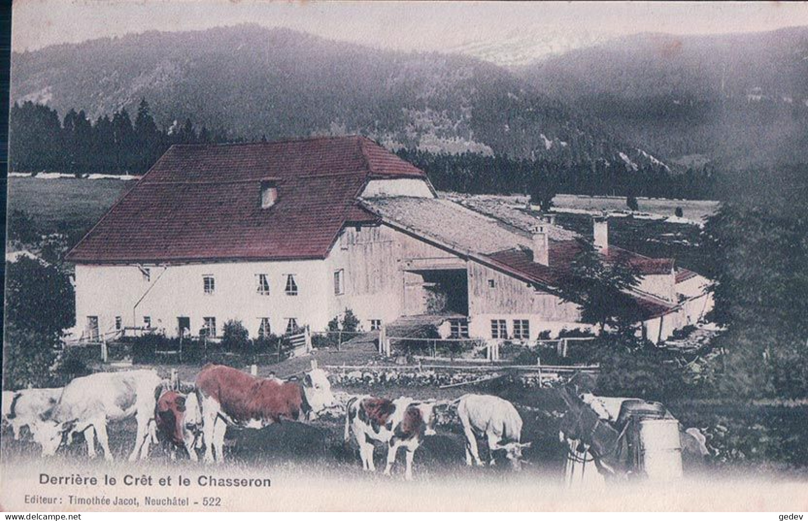 La Côte-aux-Fées NE, St Olivier, Derrière Le Crêt Et Le Chasseron, Troupeau Devant La Ferme (couleur 522) - La Côte-aux-Fées