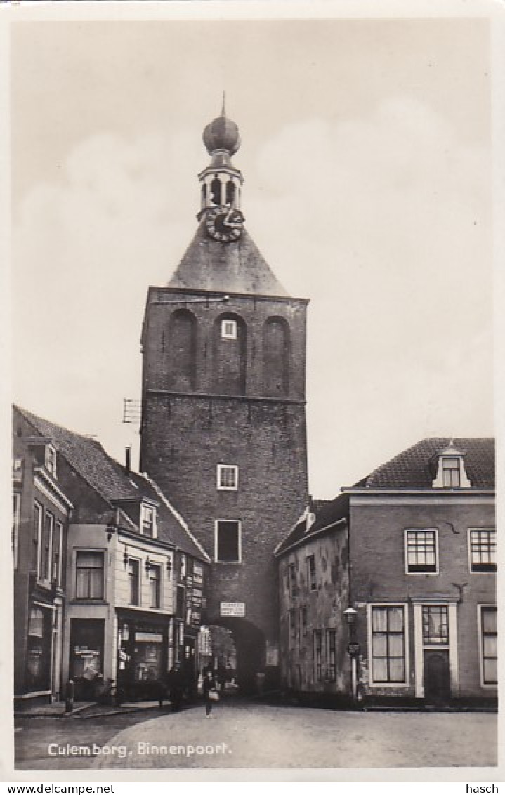 484333Culemborg, Binnenpoort. (zie Randen) - Culemborg