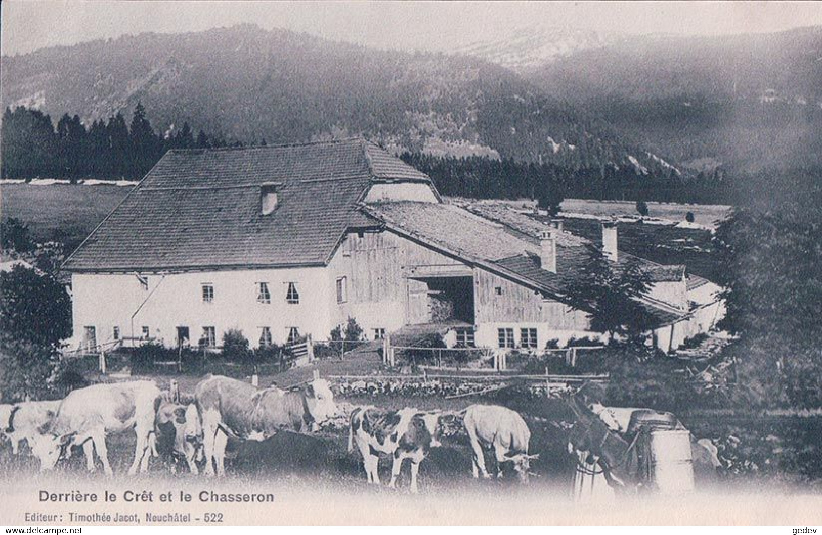 La Côte-aux-Fées NE, St Olivier, Derrière Le Crêt Et Le Chasseron, Troupeau Devant La Ferme (522) - La Côte-aux-Fées