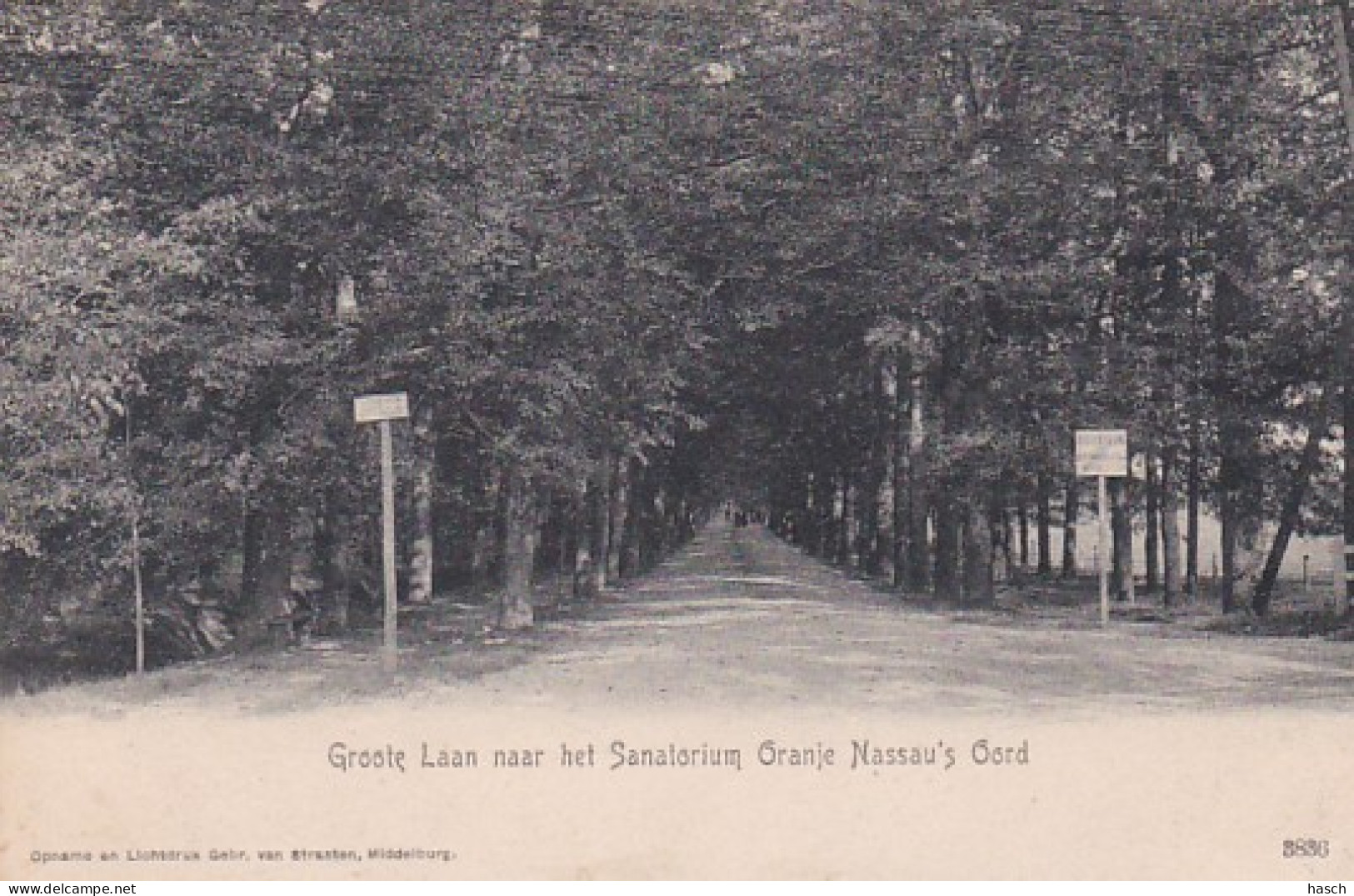4843428Renkum, Groote Laan Naar Het Sanatorium Oranje Nassau’s Oord.1905. - Renkum