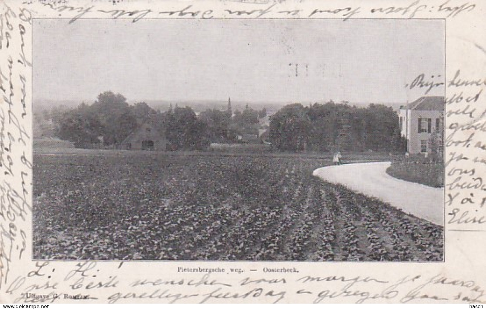 4843526Oosterbeek, Pietersbergsche Weg. (poststempel 1904) - Oosterbeek