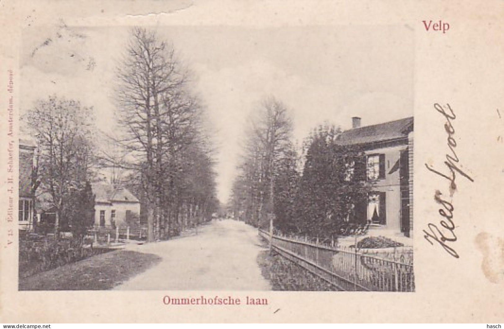 4843661Velp. Ommerhofsche Laan. (poststempel 1905)(zie Linksboven Een Scheurtje) - Velp / Rozendaal