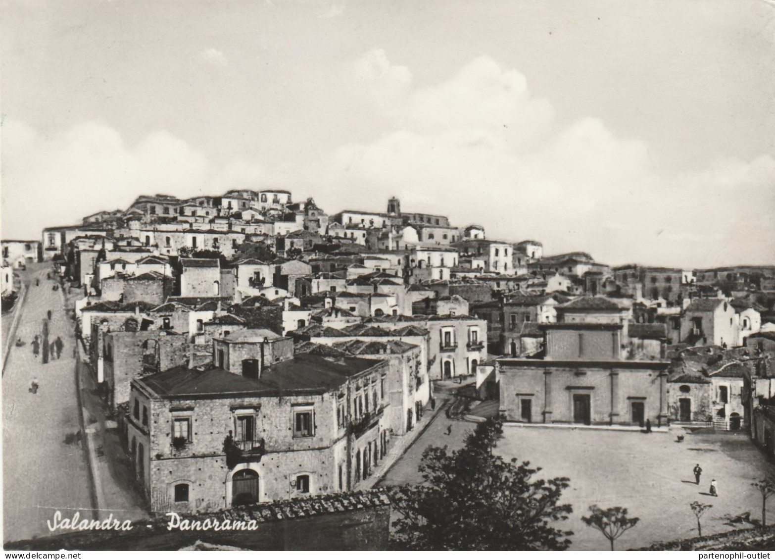 Cartolina - Postcard /   Viaggiata - /  Salandra - Panorama  ( Gran Formato ) - Matera