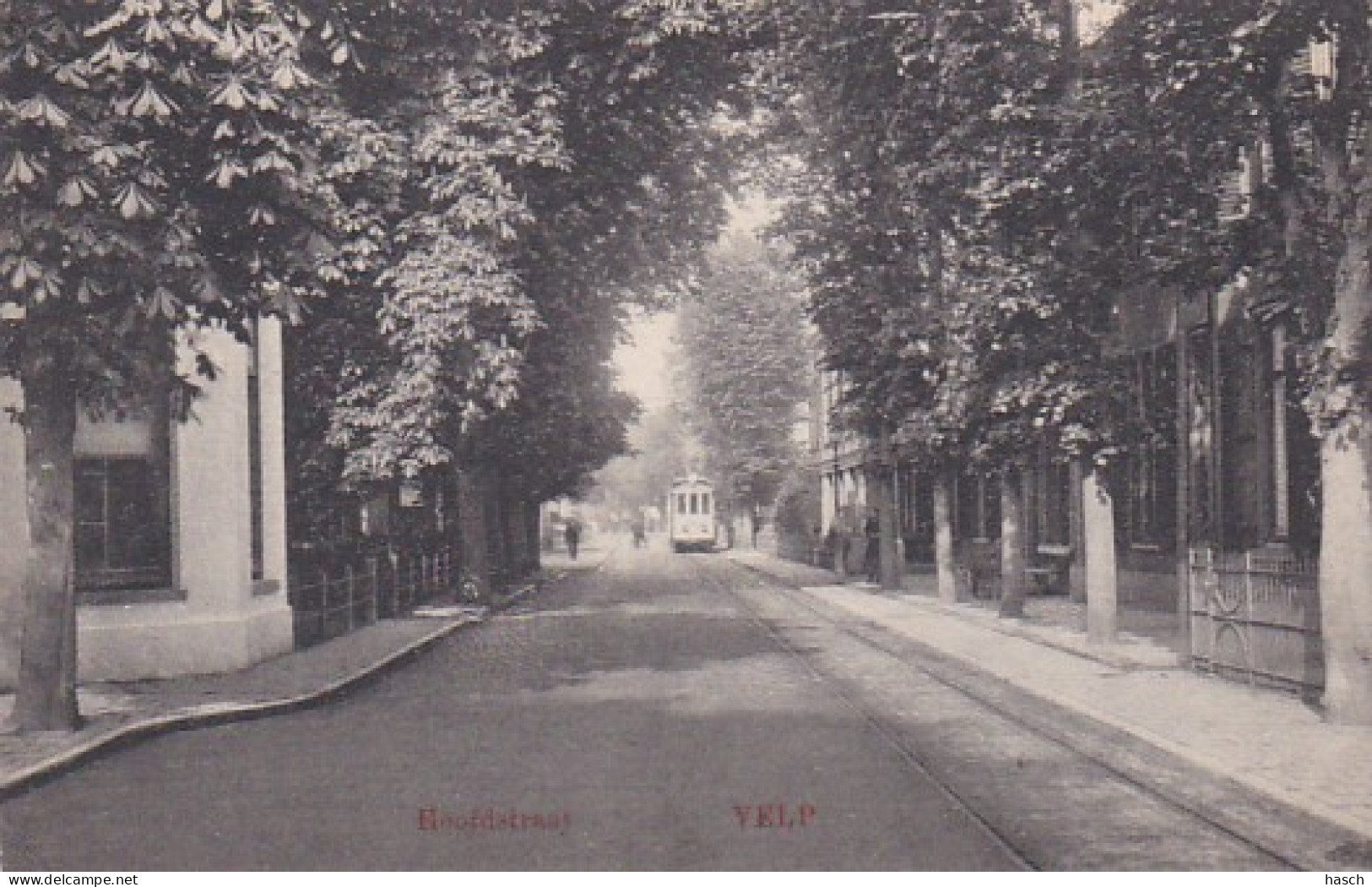 484263Velp, Hoofdstraat Met Tram. (kleine Vouwen In De Hoeken) - Velp / Rozendaal