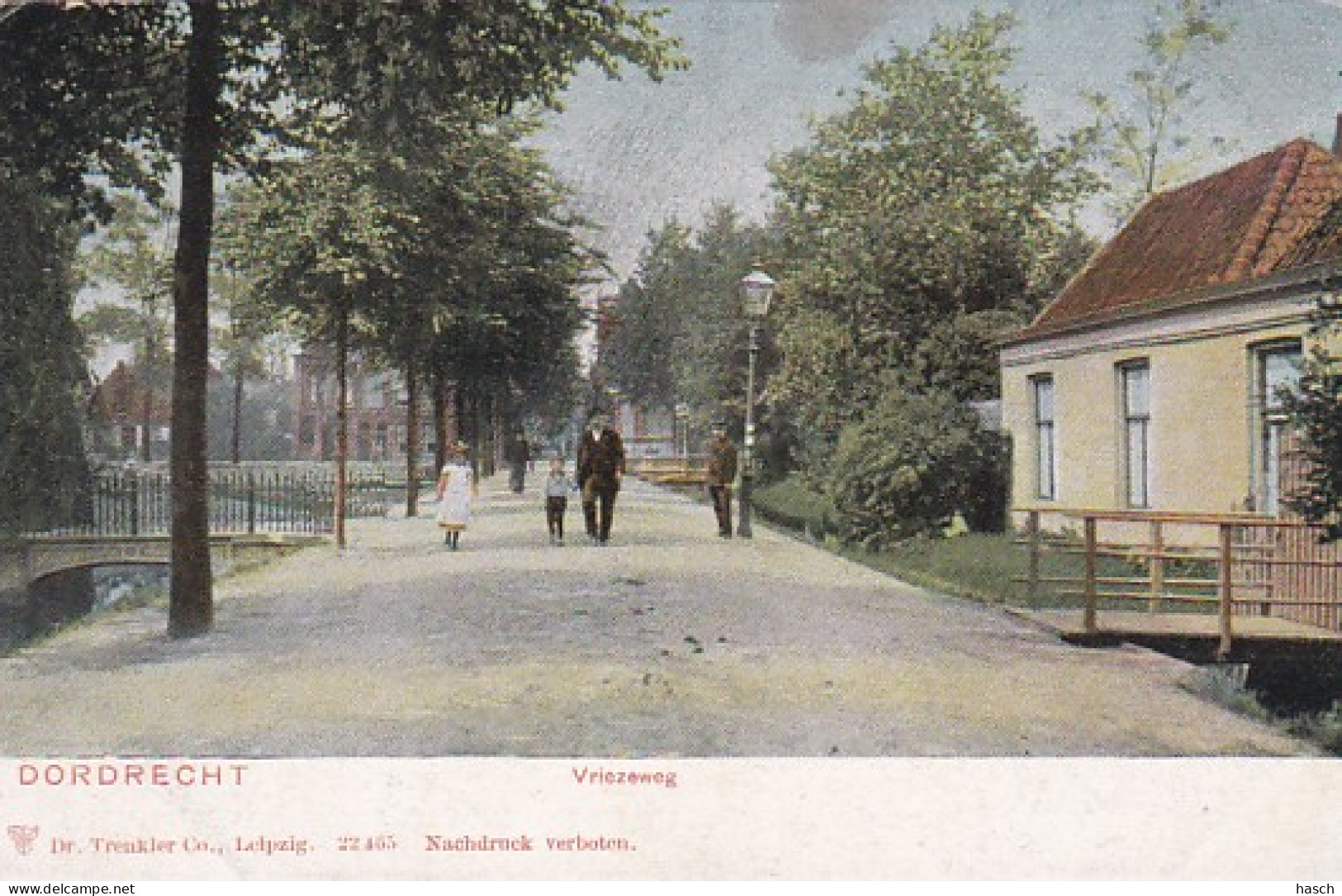 4842381Dordrecht, Vriezeweg Rond 1900. (kleine Vouwen In De Hoeken) - Dordrecht