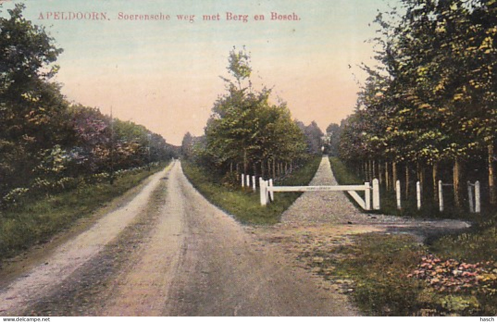 4842427Apeldoorn, Soerensche Weg Met Berg En Bosch. 1914.(zie Hoeken En Randen) - Apeldoorn