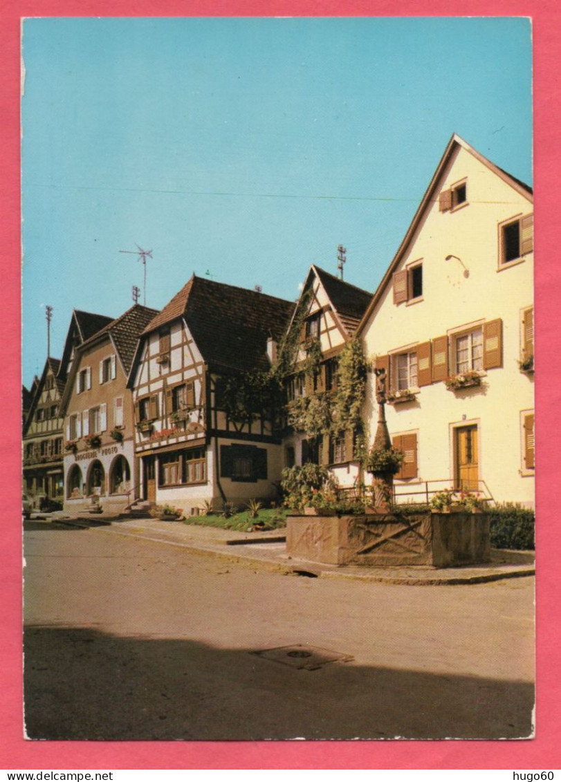 67 - DAMBACH-LA-VILLE - Vieille Maison - Fontaine De L'Ours - Dambach-la-ville