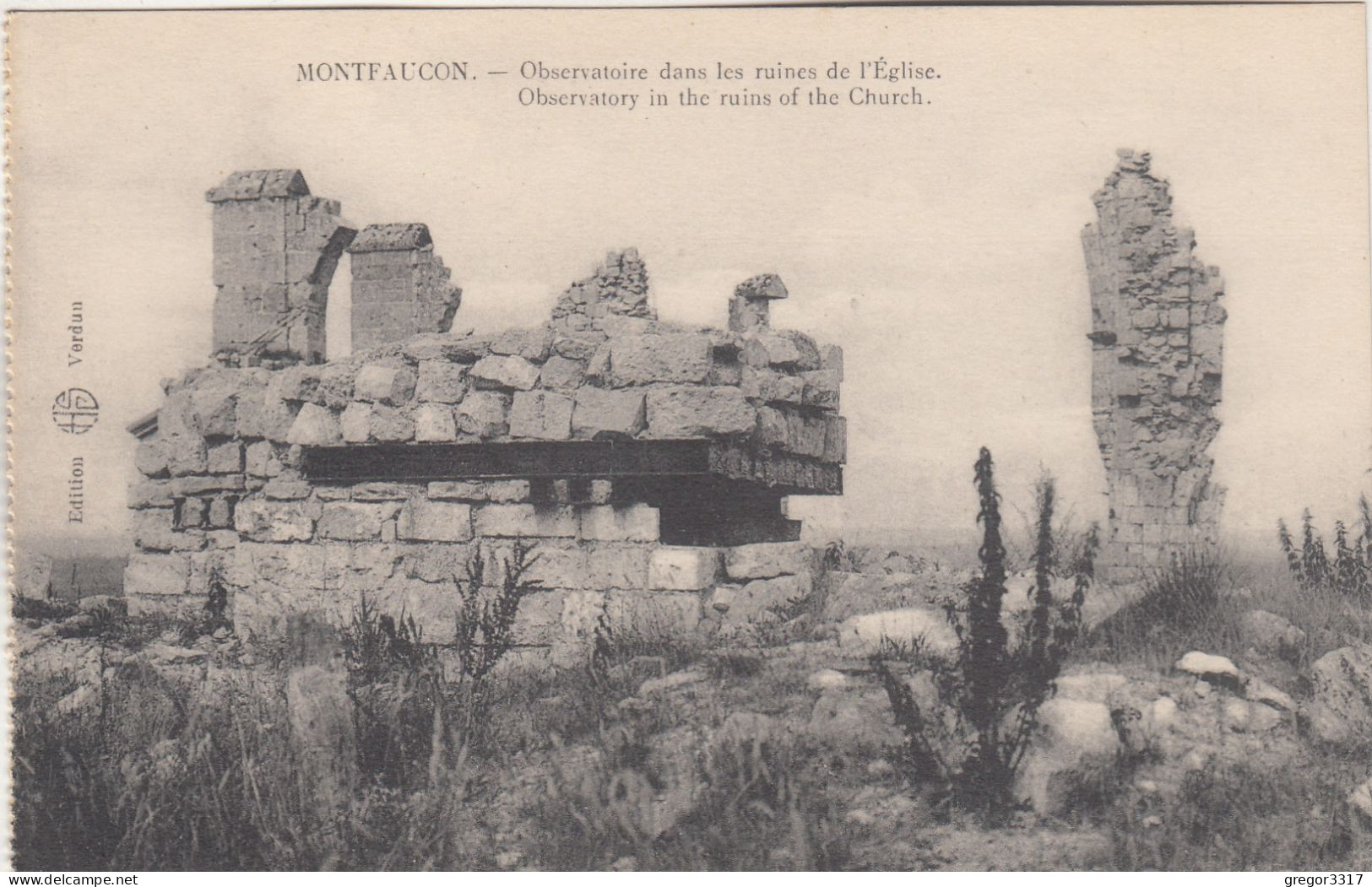 D8965) MONTFAUCON - Observatoire Dans Les Ruines De L` Eglise OLD ! - Montfaucon En Velay