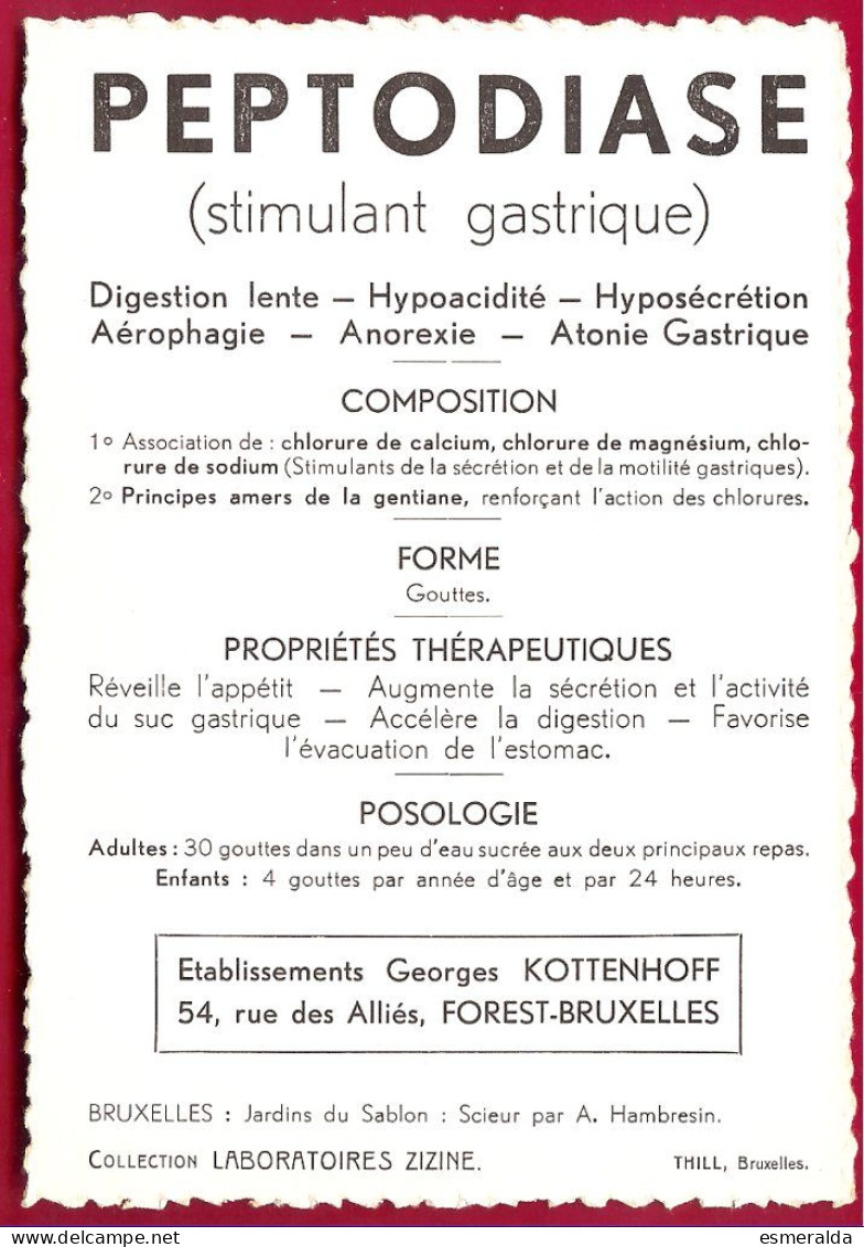 (MIG)  Collection Laboratoires Zizine. Ern.Thill- Bruxelles,Jardins Du Sablon-Scieur ,par A.Hambresin - Sammlungen