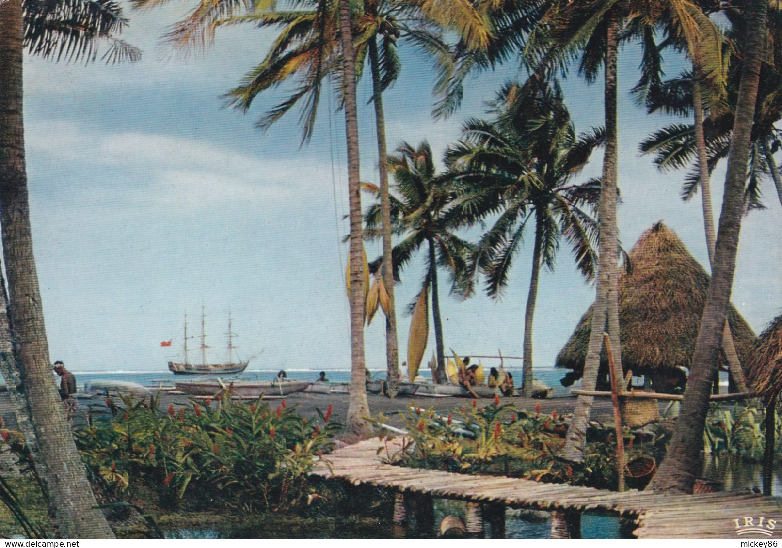 TAHITI --- Paysage Tahitien  (bateau 3 Mâts) ..............à Saisir - Tahiti