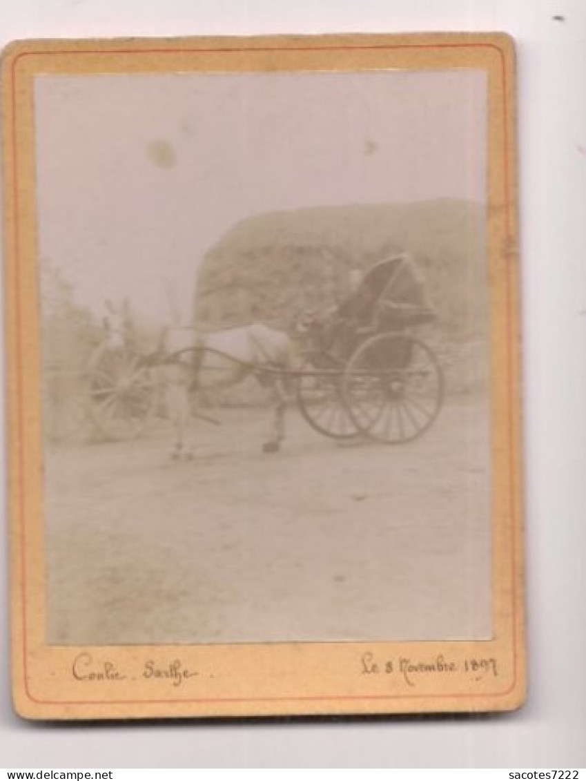 CONLIE - PHOTO : FENAISON ET ATTELAGE DE CARIOLE - Novembre 1897 - - Conlie