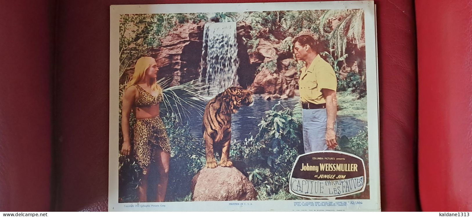 Lobby Card 1950 Jhonny Weissmuller Tarzan  Jungle Jim Jim La Jungle  Captive Parmi Les Fauves - Photos