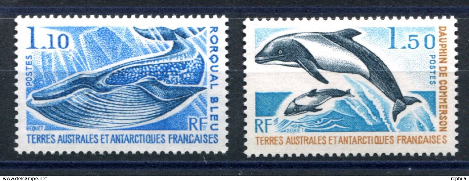 RC 26483 TAAF COTE 15,60€ N° 64 / 65 FAUNE MARINE NEUF ** MNH TB - Unused Stamps