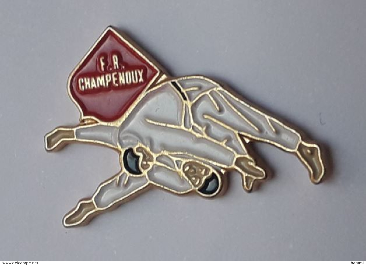 C49 Pin's JUDO CLUB DE CHAMPENOUX Meurthe Moselle Achat Immédiat - Judo